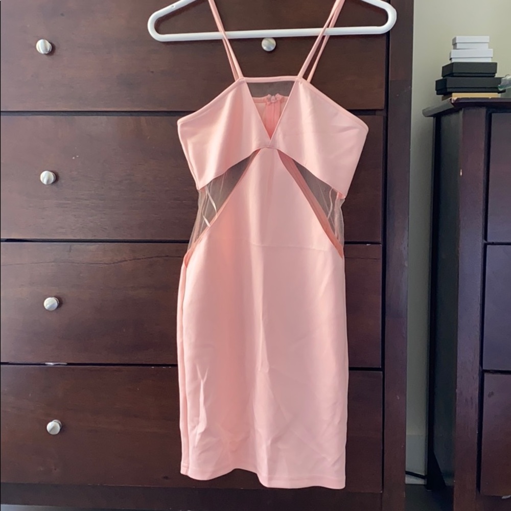 NWOT! Pink Bodycon Sheer Panel Mini Dress